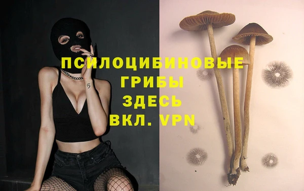 дистиллят марихуана Кодинск