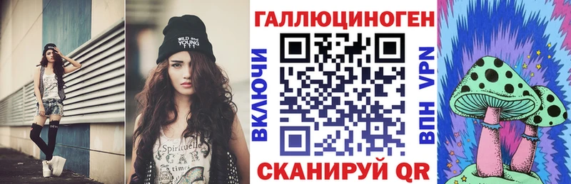 гидра как войти  Саров  Псилоцибиновые грибы Psilocybe 