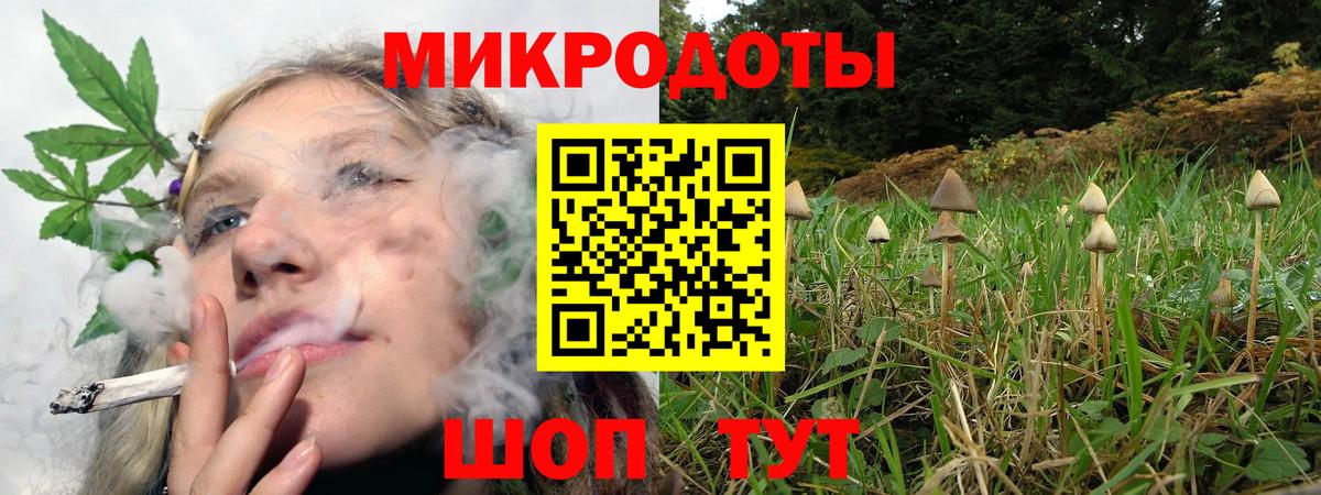 Галлюциногенные грибы Cubensis Саров