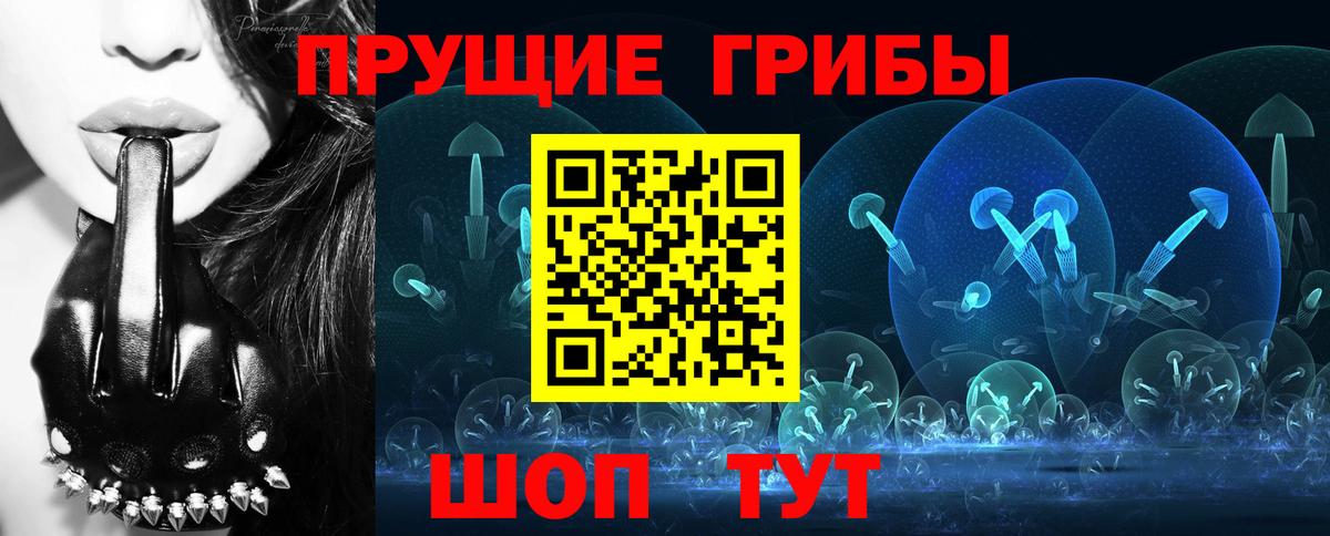 Галлюциногенные грибы Cubensis  Вход с VPN  где купить наркоту  Саров 