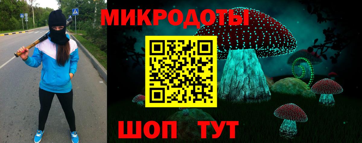 Псилоцибиновые грибы Psilocybine cubensis  Галлюциногенные грибы мицелий  Саров 