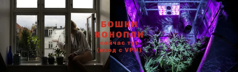 Канабис White Widow  Саров 