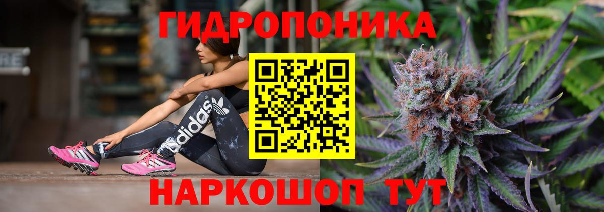 Каннабис индика Саров